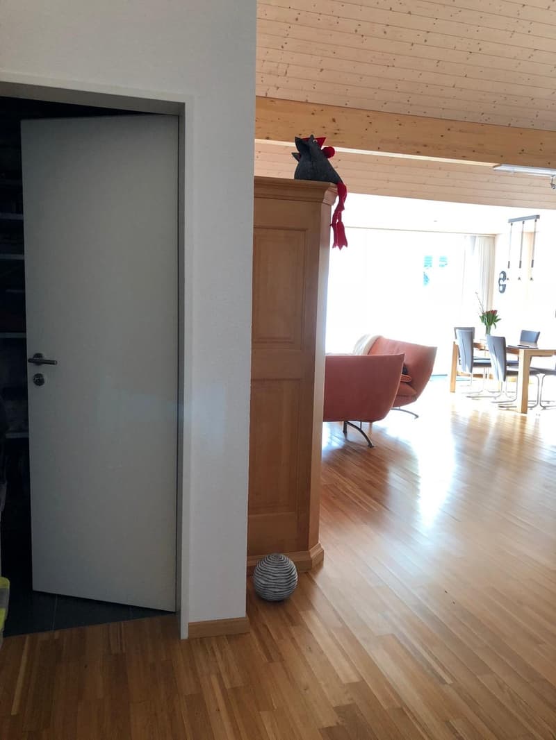 Charmante 2.5-Zimmer-Dachwohnung mit Weitblick und viel Charakter (5)