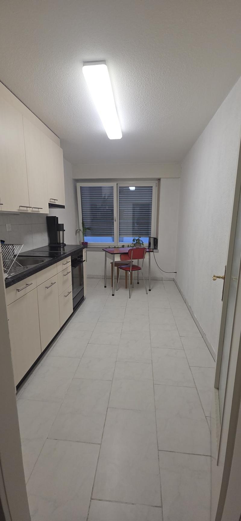 Wunderschön Wohnung in Wiedikon (3)