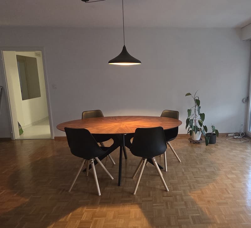 Wunderschön Wohnung in Wiedikon (1)