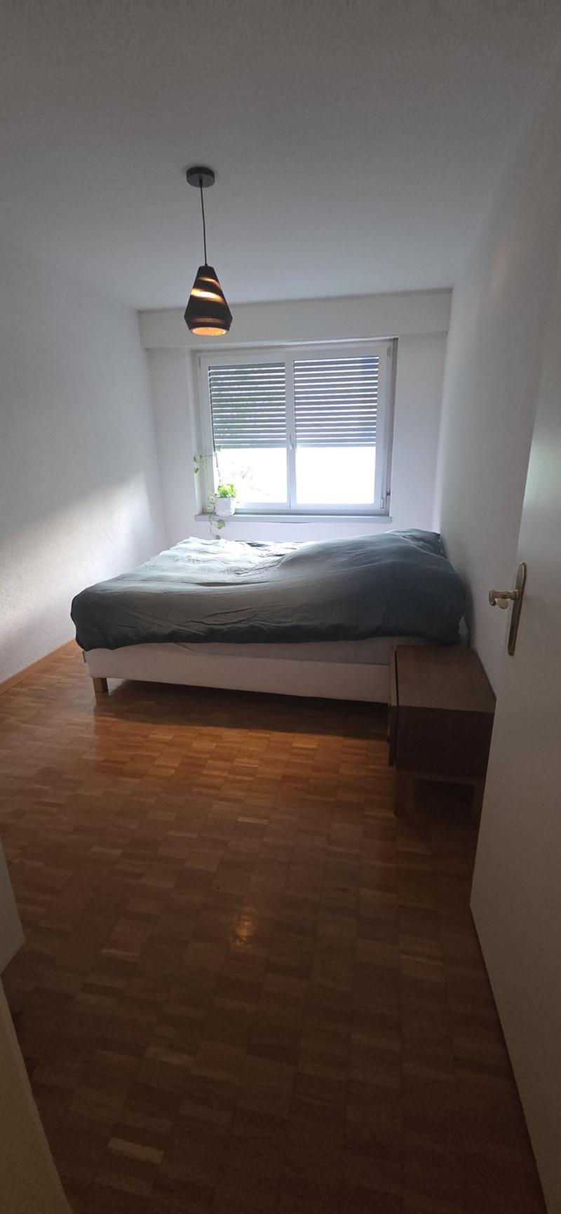 Wunderschön Wohnung in Wiedikon (7)