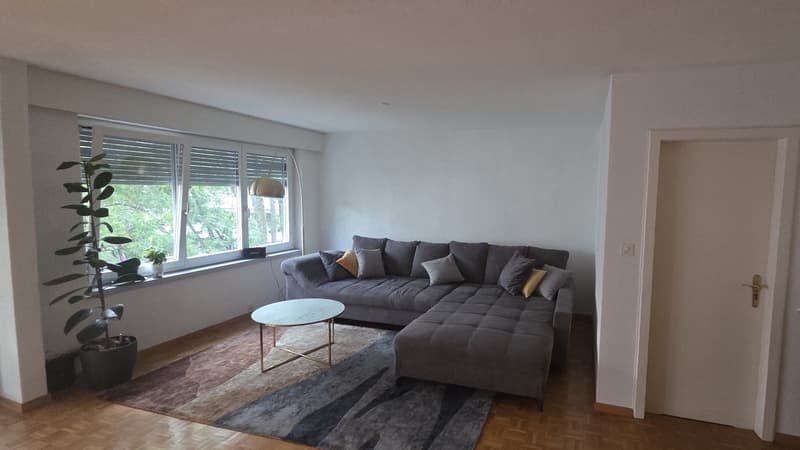 Wunderschön Wohnung in Wiedikon (6)