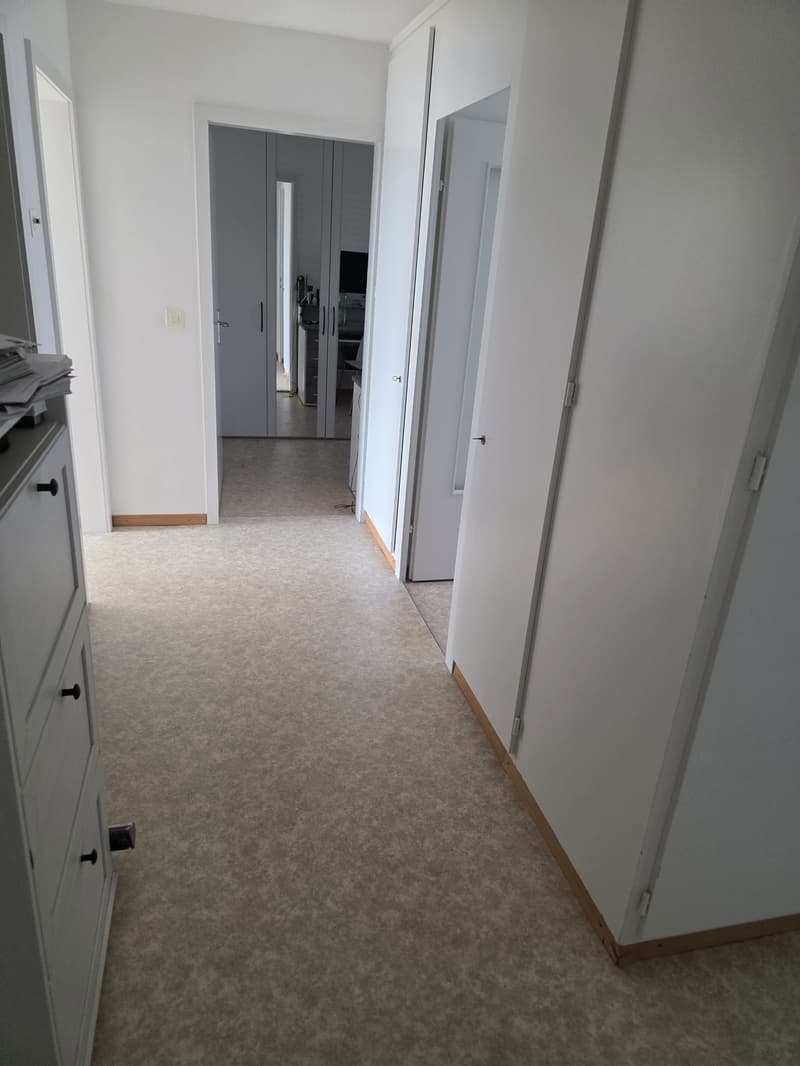Schönen 3 Zimmer Wohnung in döttingen (6)