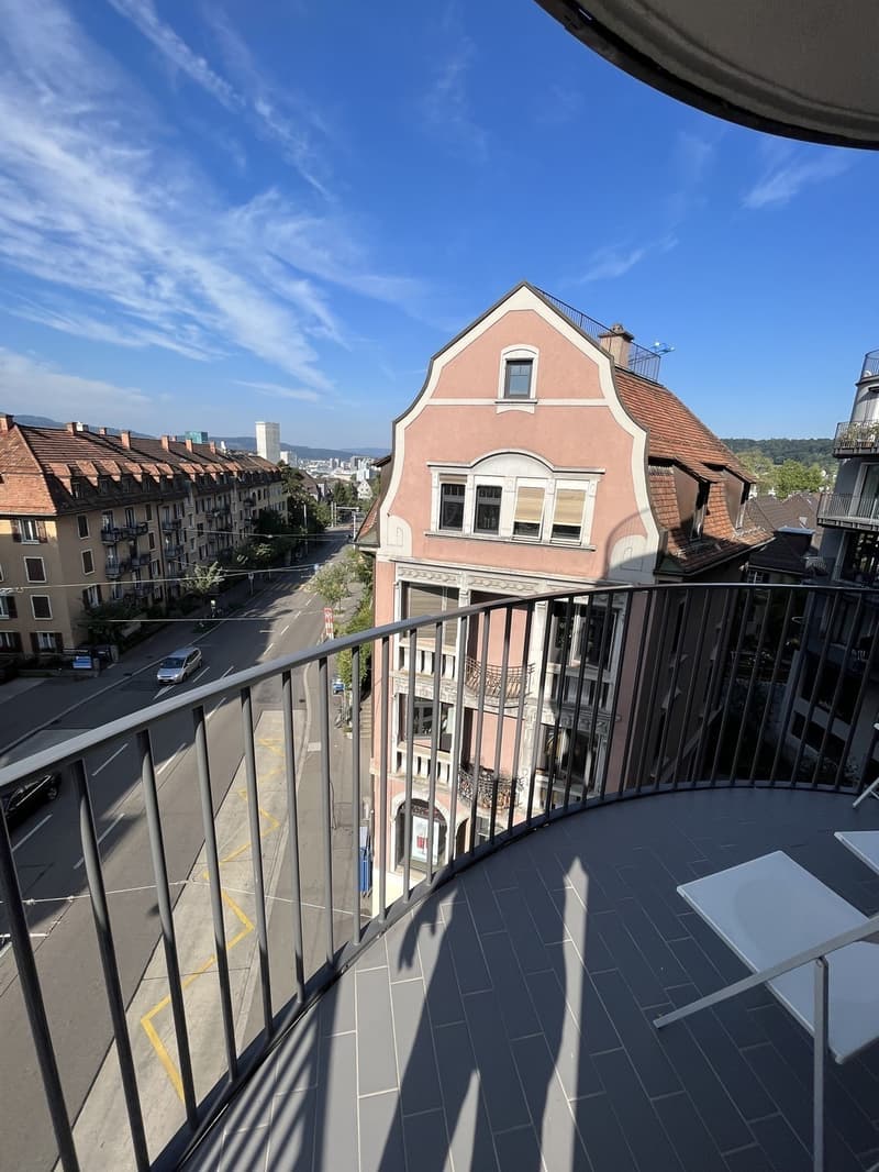 WG-Zimmer in neu renovierter 3.5Z Wohnung am Schaffhauserplatz (befristet) (9)