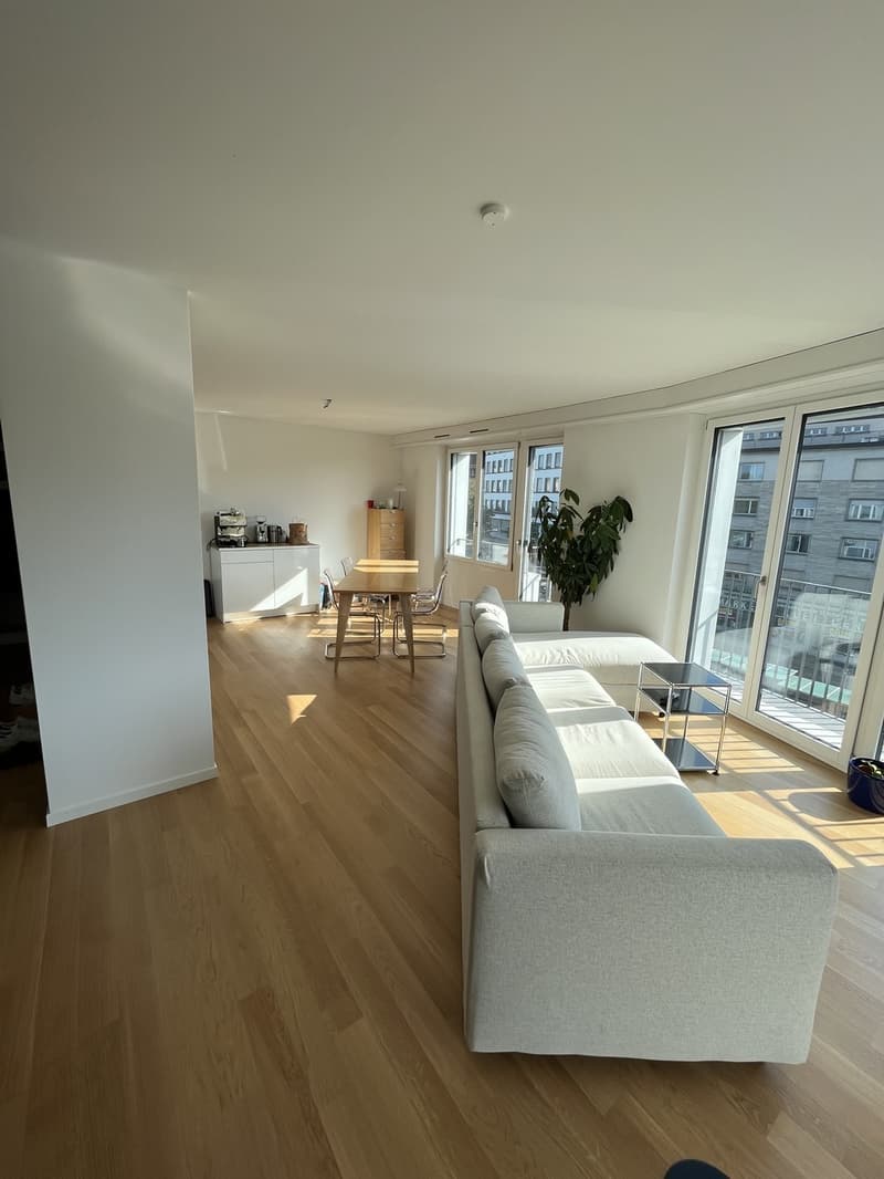 WG-Zimmer in neu renovierter 3.5Z Wohnung am Schaffhauserplatz (befristet) (5)