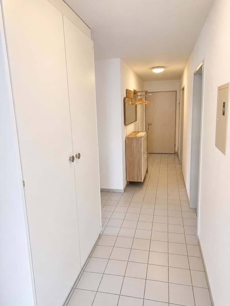 Charmante 3.5 Zimmer - Dachwohnung in Wangen bei Olten (2)