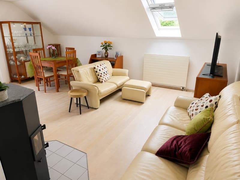Charmante 3.5 Zimmer - Dachwohnung in Wangen bei Olten (1)
