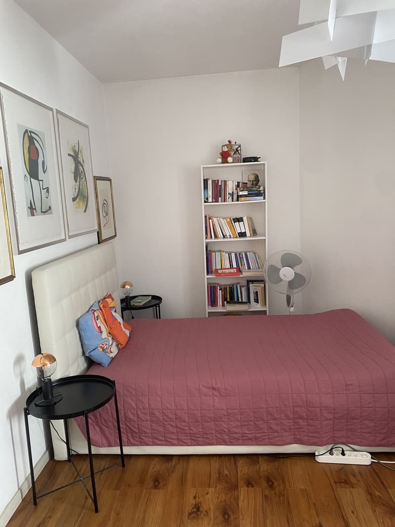 Appartamento 1 ½ locali, 6900 Lugano (4)