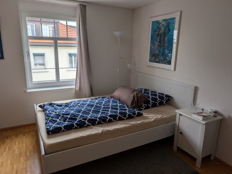 Gemütliches Zimmer in grosszügiger WG direkt am Bahnhof St. Fiden (7)