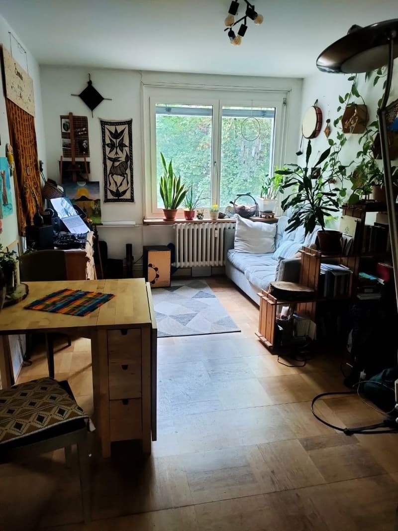 Lovely 5month sublet in basel (1)