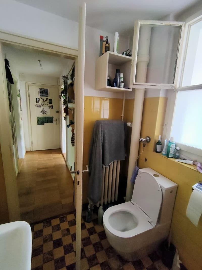 Lovely 5month sublet in basel (4)