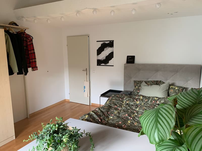 WG Zimmer, 8408 Winterthur (3)