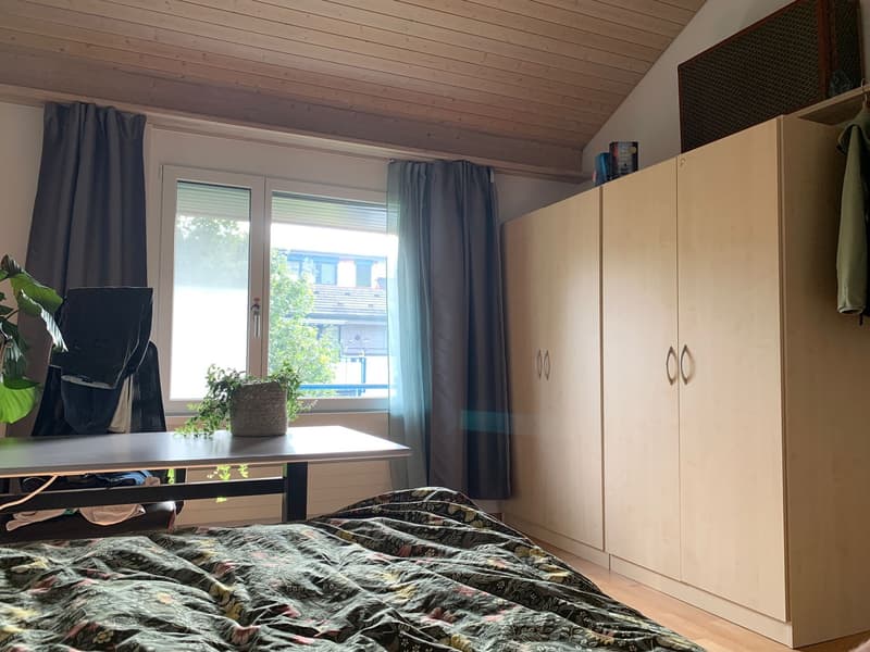 WG Zimmer, 8408 Winterthur (1)