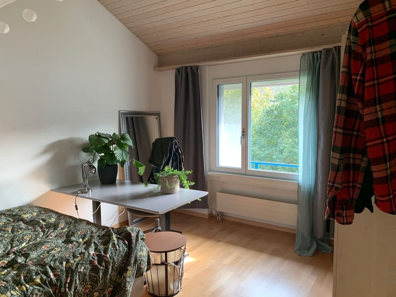 WG Zimmer, 8408 Winterthur (2)
