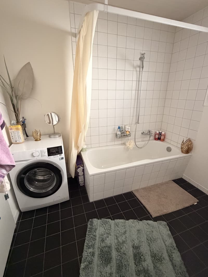 Charmante 3.5-Zimmer Wohnung zu vermieten (7)