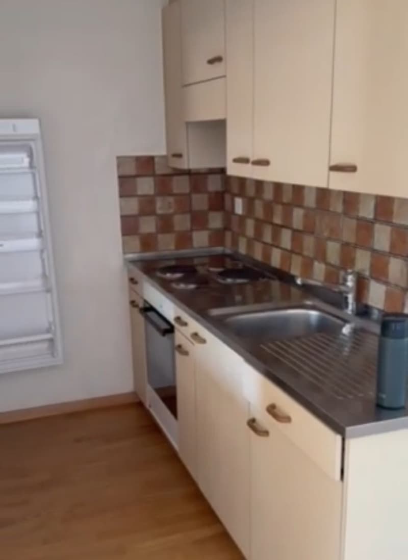1 1/2 ROOM APARTMENT IN WINTERTHUR, 8400 (4)