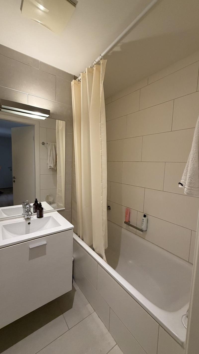 3.5 Zimmerwohnung in Wikpingen, nahe Limmat (8)