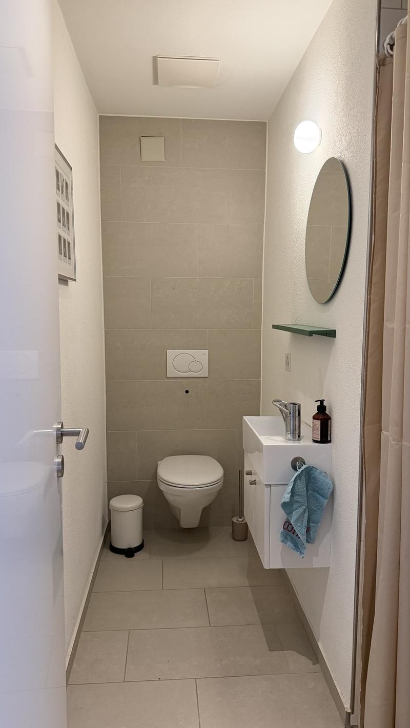 3.5 Zimmerwohnung in Wikpingen, nahe Limmat (7)