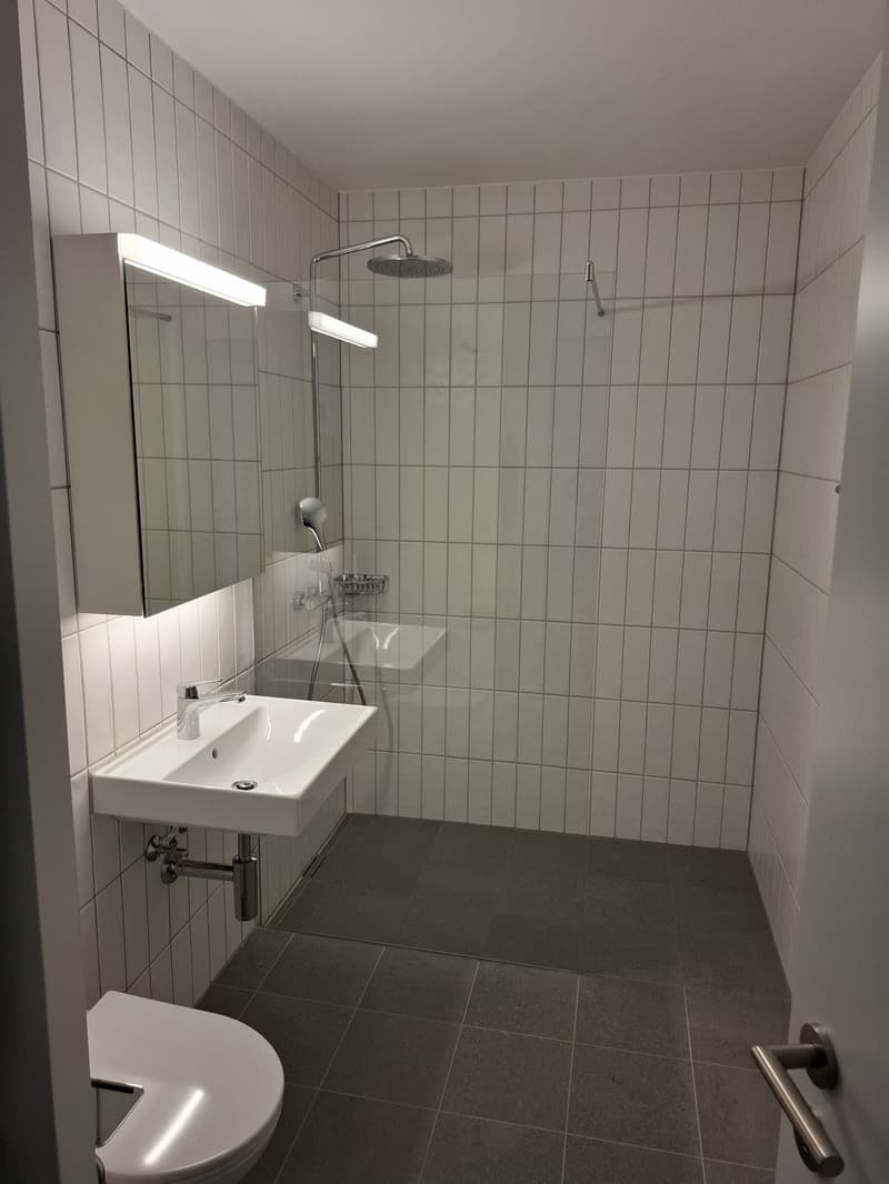 2.5 Zimmer Neubauwohnung beim Bahnhof SBB mit tollem Stadtausblick (4)