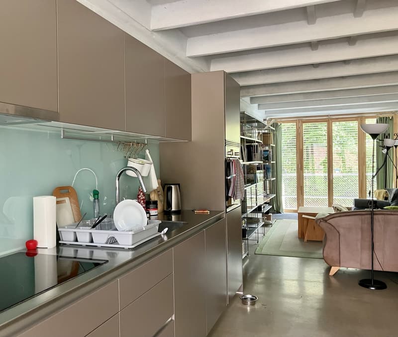 Reihenhaus mit 2 Parkplätzen (2)