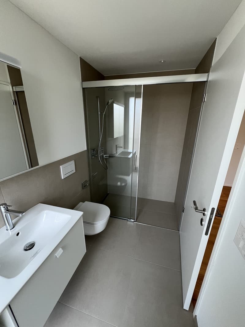 Neubau 3,5 Zimmerwohnung (7)