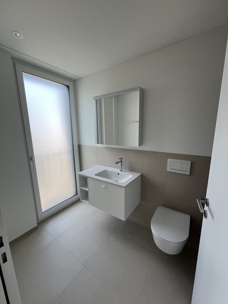 Neubau 3,5 Zimmerwohnung (5)