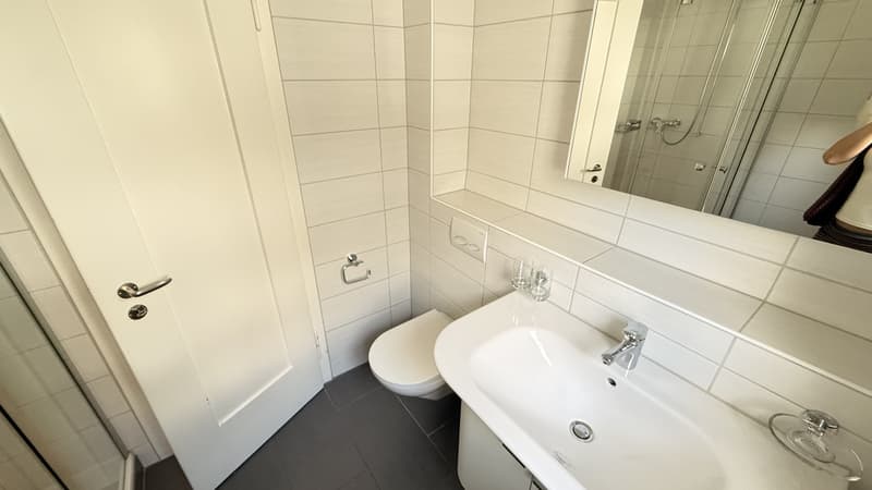 Helles Zimmer in renovierter 3er-WG in Zürich (5)