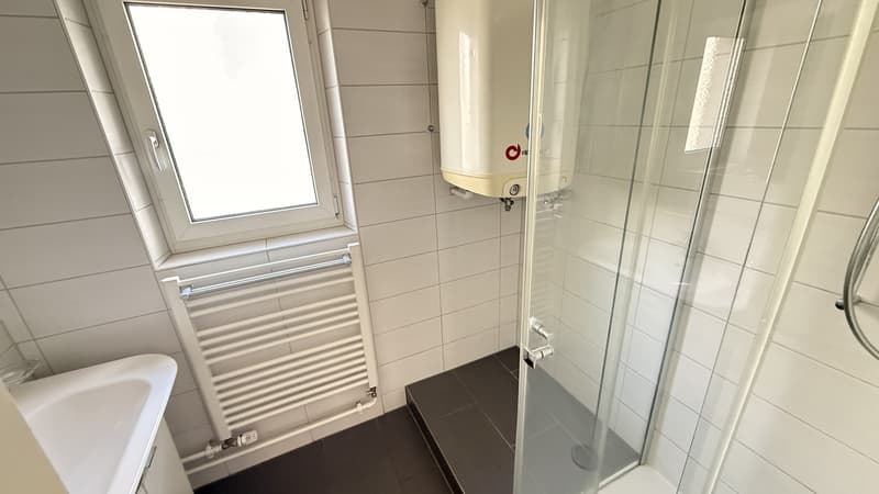Helles Zimmer in renovierter 3er-WG in Zürich (4)