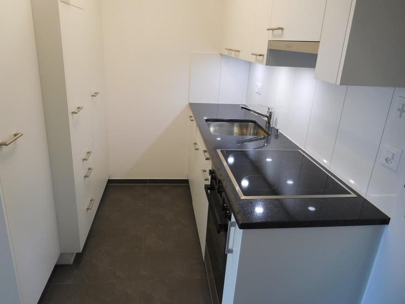 Stilvoll möblierte Wohnung mit schöner Aussicht ins Grüne (8)