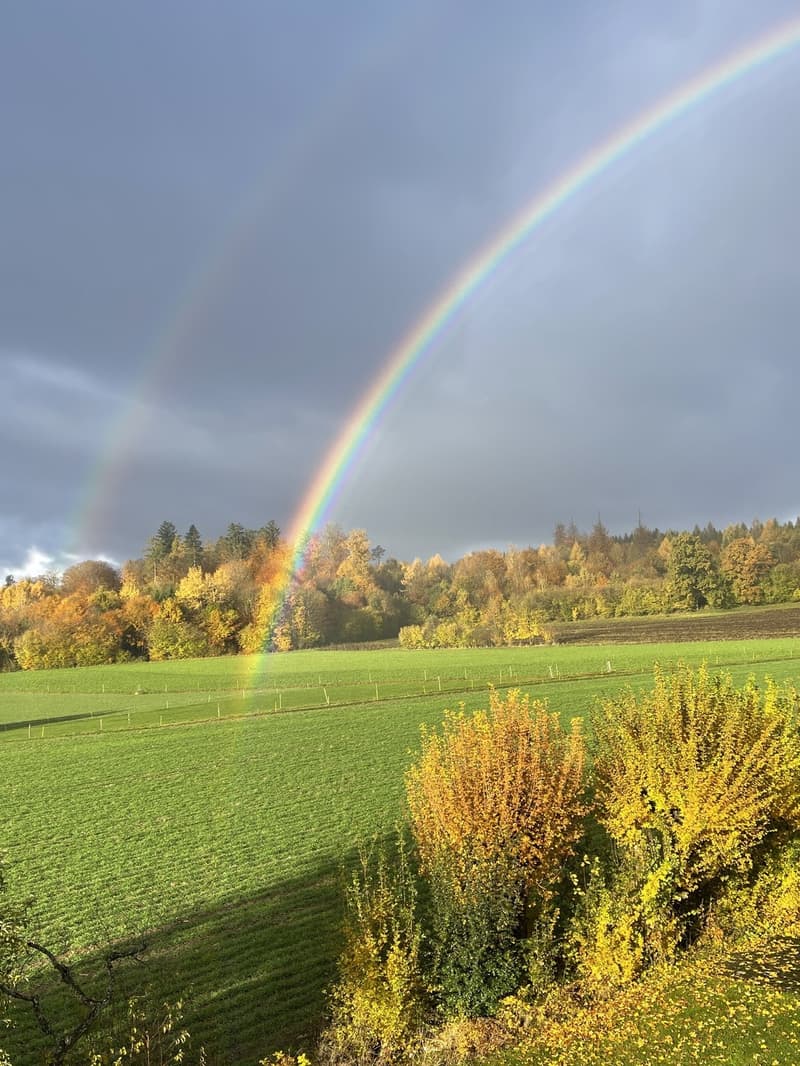 Stilvoll möblierte Wohnung mit schöner Aussicht ins Grüne (5)