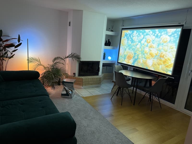 Stilvoll möblierte Wohnung mit schöner Aussicht ins Grüne (1)