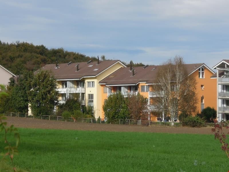 Stilvoll möblierte Wohnung mit schöner Aussicht ins Grüne (11)
