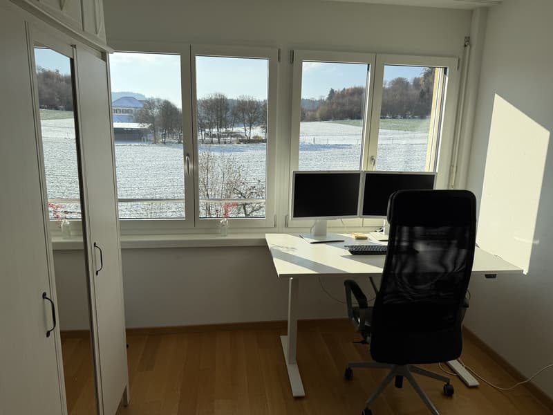 Stilvoll möblierte Wohnung mit schöner Aussicht ins Grüne (6)