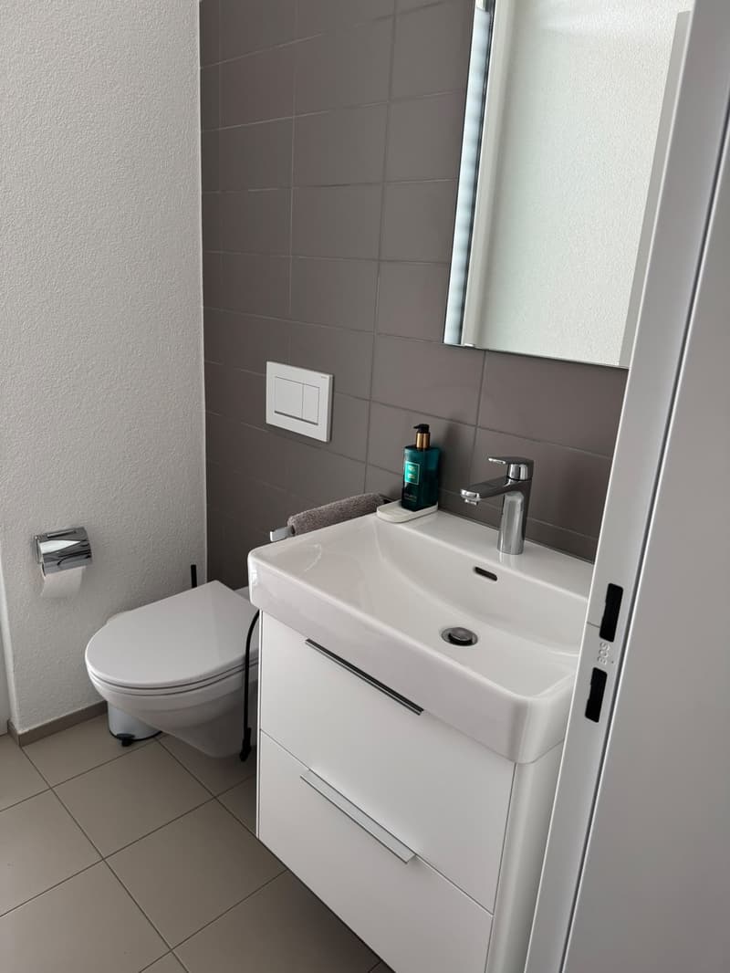 Schöne, moderne EG 3 1/2 Zi-Wohnung in Weinfelden (Nachmieter gesucht) (9)