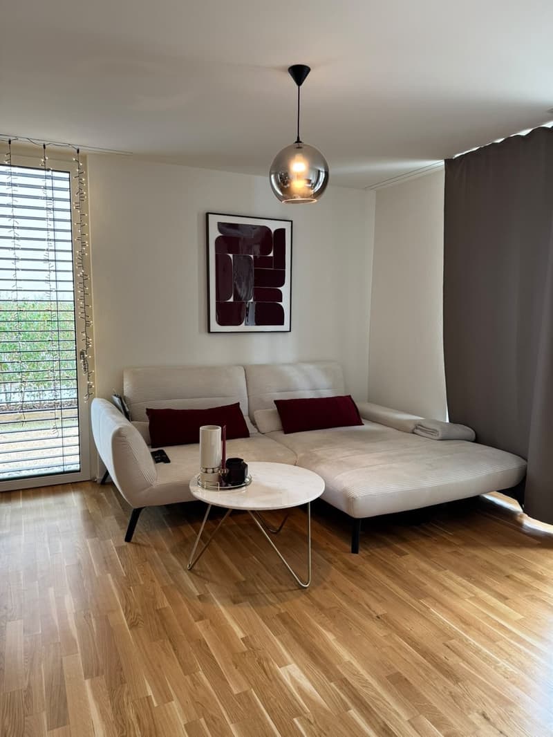 Schöne, moderne EG 3 1/2 Zi-Wohnung in Weinfelden (Nachmieter gesucht) (2)