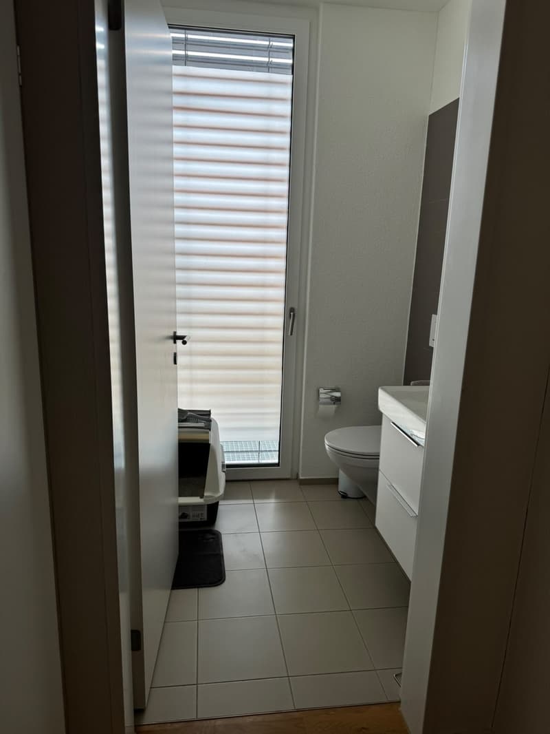 Schöne, moderne EG 3 1/2 Zi-Wohnung in Weinfelden (Nachmieter gesucht) (8)