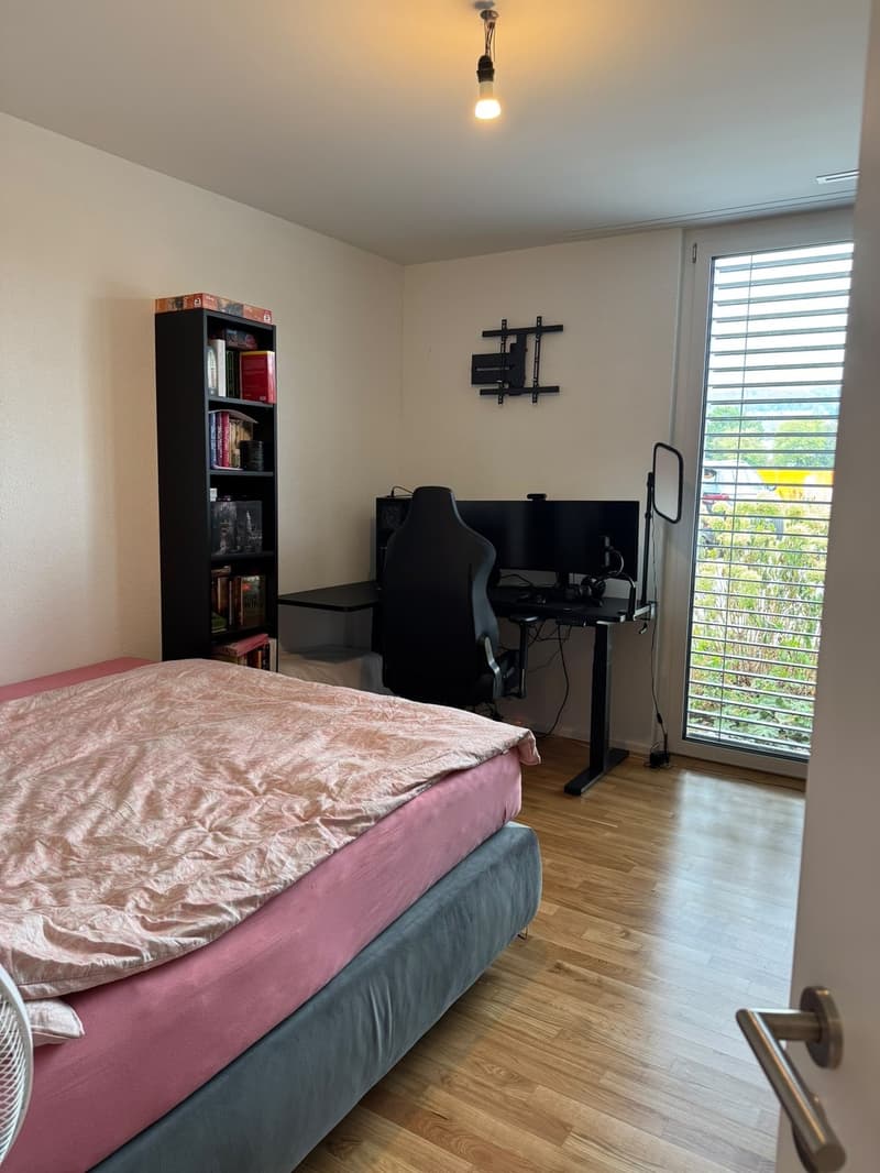 Schöne, moderne EG 3 1/2 Zi-Wohnung in Weinfelden (Nachmieter gesucht) (10)