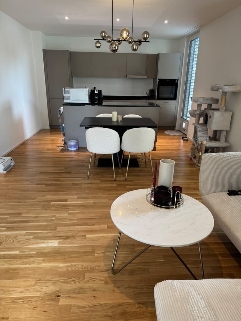 Schöne, moderne EG 3 1/2 Zi-Wohnung in Weinfelden (Nachmieter gesucht) (5)