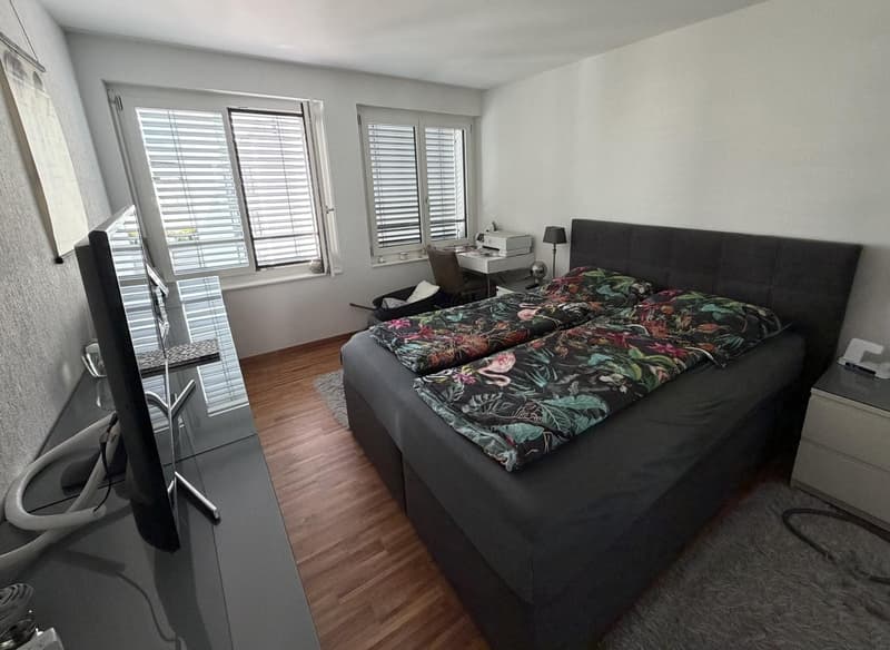 2-Zimmer-Wohnung, zentral gelegen und gut angebunden in Dübendorf (6)