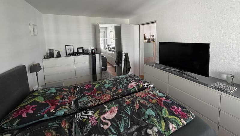 2-Zimmer-Wohnung, zentral gelegen und gut angebunden in Dübendorf (5)