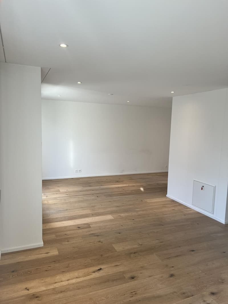 Moderne 2.5-Zimmerwohnung mit Balkon, Zürich Kreis 6 - 10 Gehminuten zum HB (5)