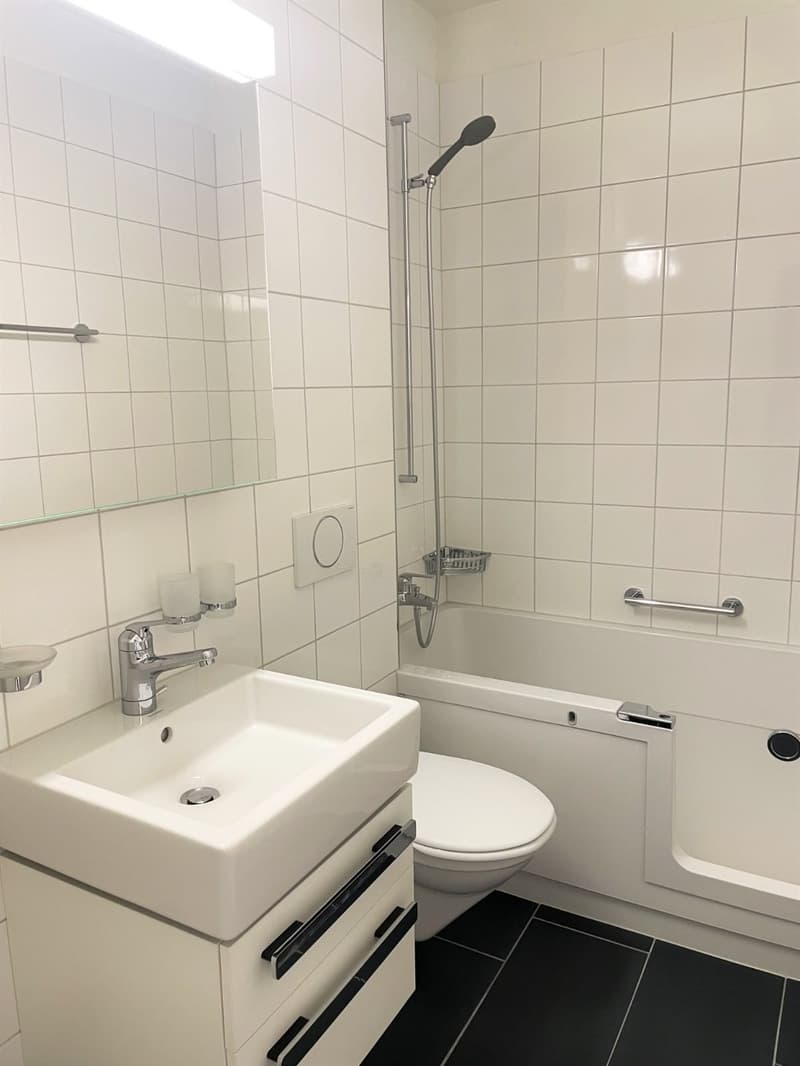 Möbliertes Zimmer in 3.5-Zimmer-WG in Bern zu vermieten (4)