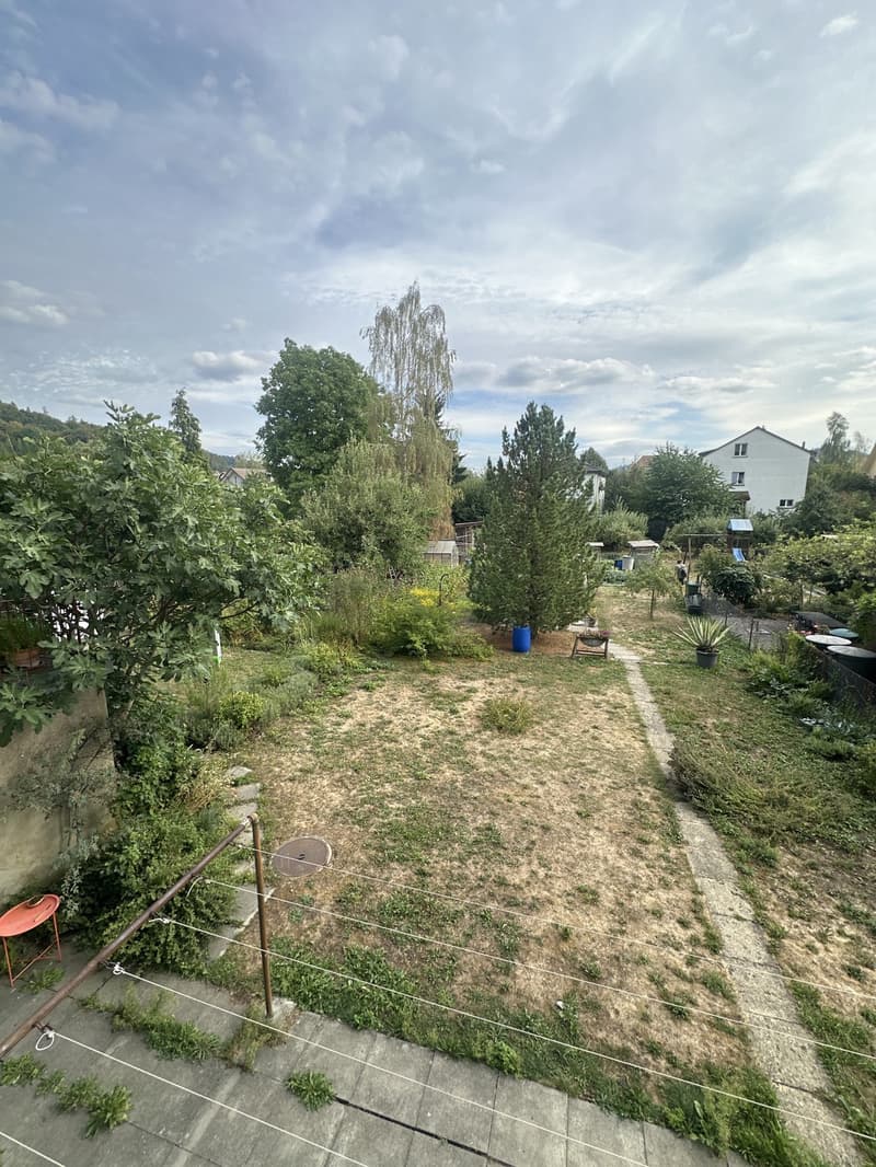WG Zimmer (11)