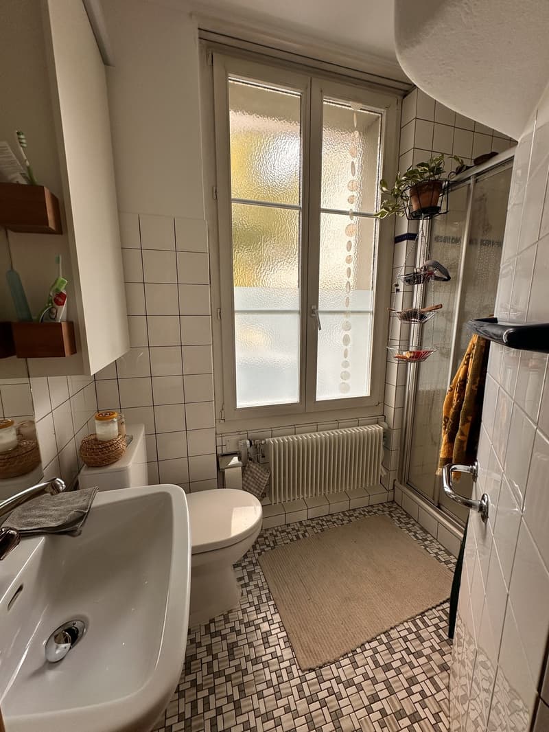 WG Zimmer (10)