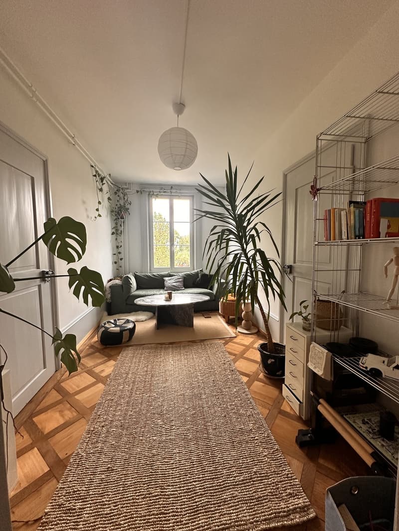 WG Zimmer (5)
