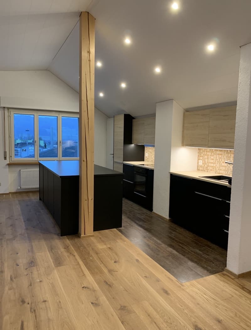 Charmante 3.5-Zimmer-Dachwohnung in Hitzkirch (1)