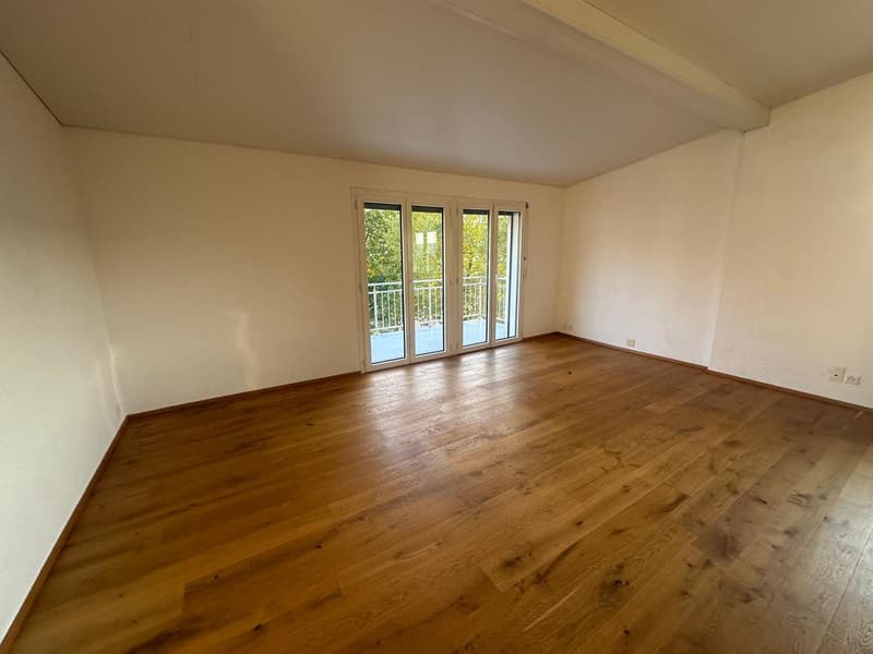 Charmante 3.5-Zimmer-Dachwohnung in Hitzkirch (5)