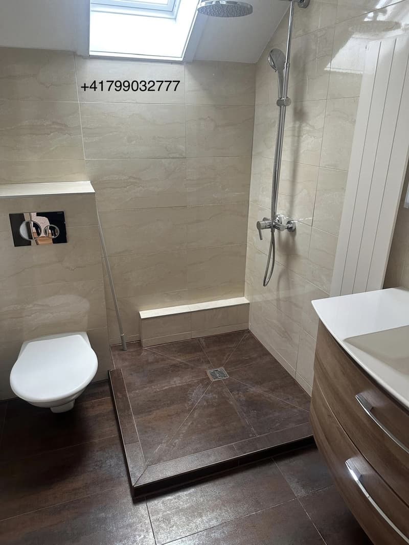 Charmante 3.5-Zimmer-Dachwohnung in Hitzkirch (7)