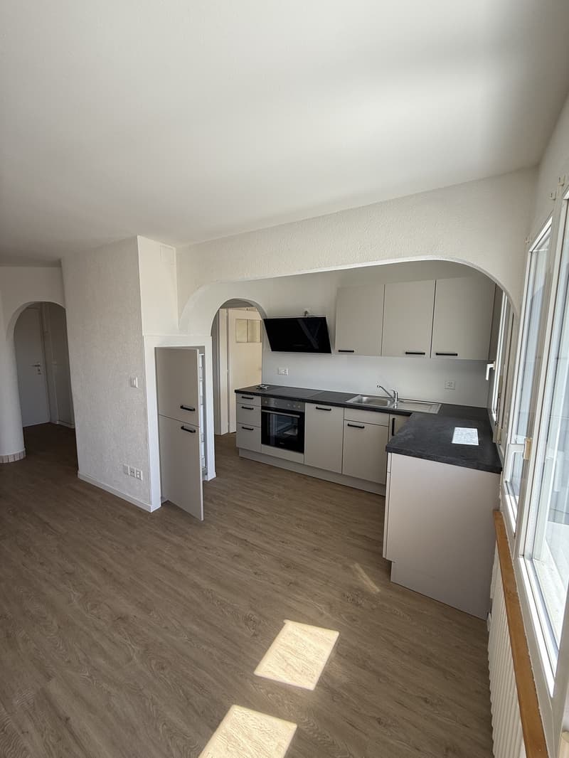 Reprise de bail dun appartement de 2,5 pièces (3)