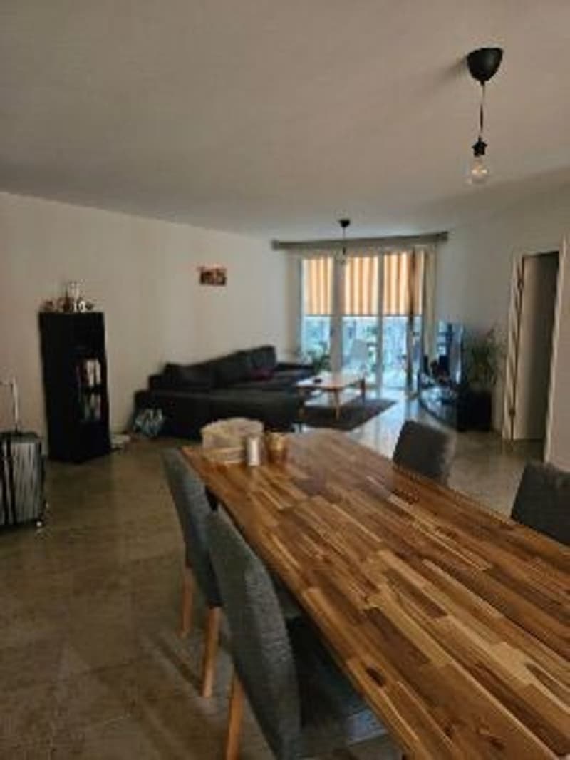 01.12.2026 Room Available in a Bright and Modern Shared Flat in Zurich Bucheggplatz Area (3)
