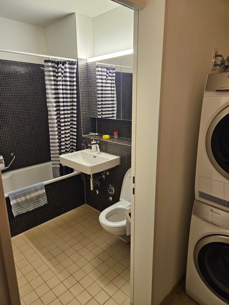 01.12.2026 Room Available in a Bright and Modern Shared Flat in Zurich Bucheggplatz Area (6)